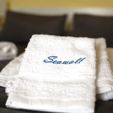 Seawall 公寓 *