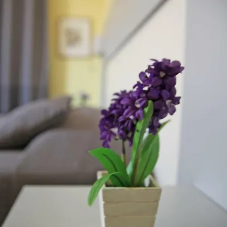 Seawall Holiday Apartment